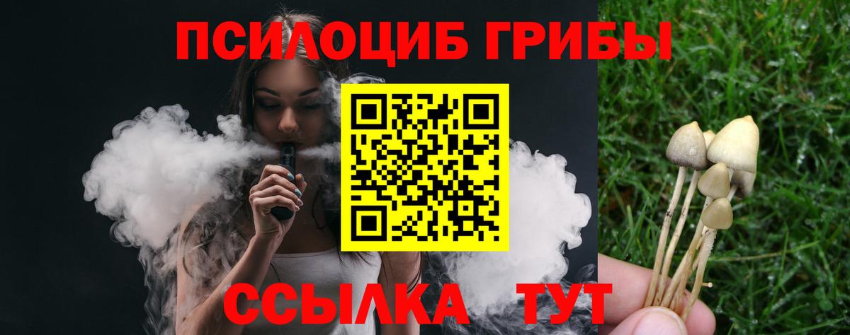 Кулебаки  Галлюциногенные грибы прущие грибы  Вход с VPN 